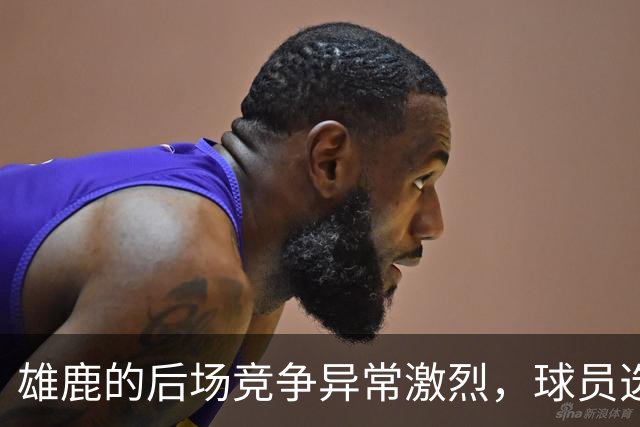 雄鹿的后场竞争异常激烈，球员选择成挑战
